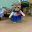 ノリのプロフィール画像