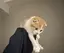 ぁやのプロフィール画像