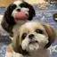 HIROのプロフィール画像