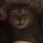 はゆのプロフィール画像