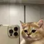 あやののプロフィール画像