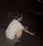 真菜のプロフィール画像