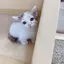 萌子のプロフィール画像