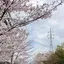 ふじのプロフィール画像