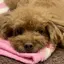 ままちゃんのプロフィール画像