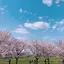 noi3のプロフィール画像