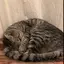ノゾミのプロフィール画像