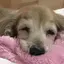 まりかなのプロフィール画像