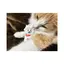 aoのプロフィール画像