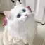 もえかのプロフィール画像