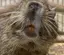 ぴのプロフィール画像