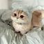 ひなのプロフィール画像