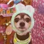 ゅぅのプロフィール画像
