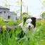 みみみのプロフィール画像