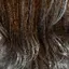 futahaのプロフィール画像