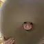 tomのプロフィール画像