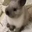 りなのプロフィール画像