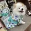 あずちゃんのプロフィール画像