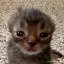 ゆうりのプロフィール画像