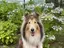 かりんとうのプロフィール画像