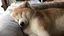 ざわのプロフィール画像