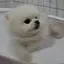 みのプロフィール画像