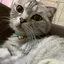 Manakaのプロフィール画像