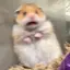あんづのプロフィール画像