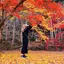 みいのプロフィール画像
