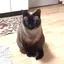 なつのプロフィール画像