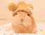 Sのプロフィール画像