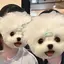 imのプロフィール画像
