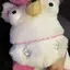 ゆのプロフィール画像