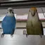orinaのプロフィール画像