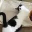 りょーじのプロフィール画像