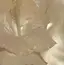 さあちゃんのプロフィール画像