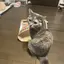 ゆっちのプロフィール画像