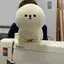 せいたむのプロフィール画像