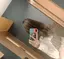 ちゃんのプロフィール画像
