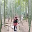 ユリンのプロフィール画像