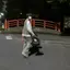 あおとくんのプロフィール画像