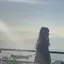 mocaのプロフィール画像