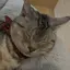 Sのプロフィール画像