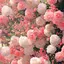 yumaのプロフィール画像