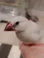 ざわのプロフィール画像