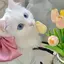 あやのプロフィール画像