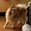 ゆかのプロフィール画像