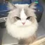  ︎︎のプロフィール画像