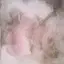 ♩のプロフィール画像