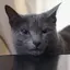 ティティのプロフィール画像